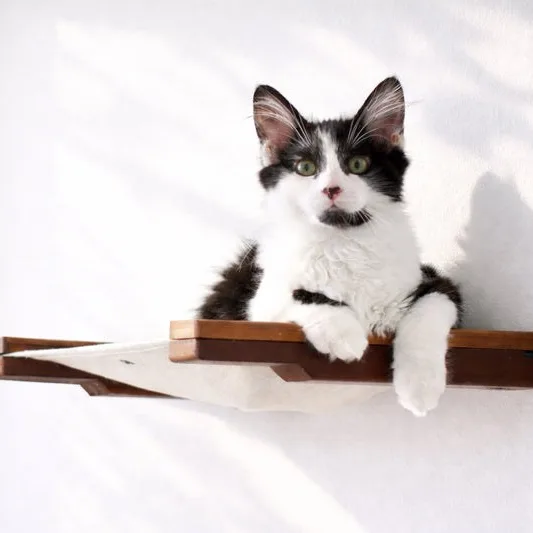 Hanging Cat Bed Hammock