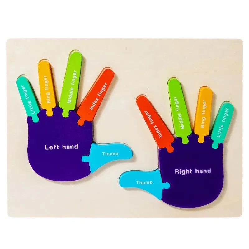 Wooden Montessori 3D Hand Cognitive Puzzle