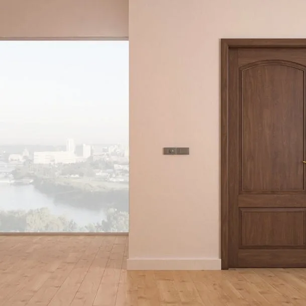 Interior door DR-20