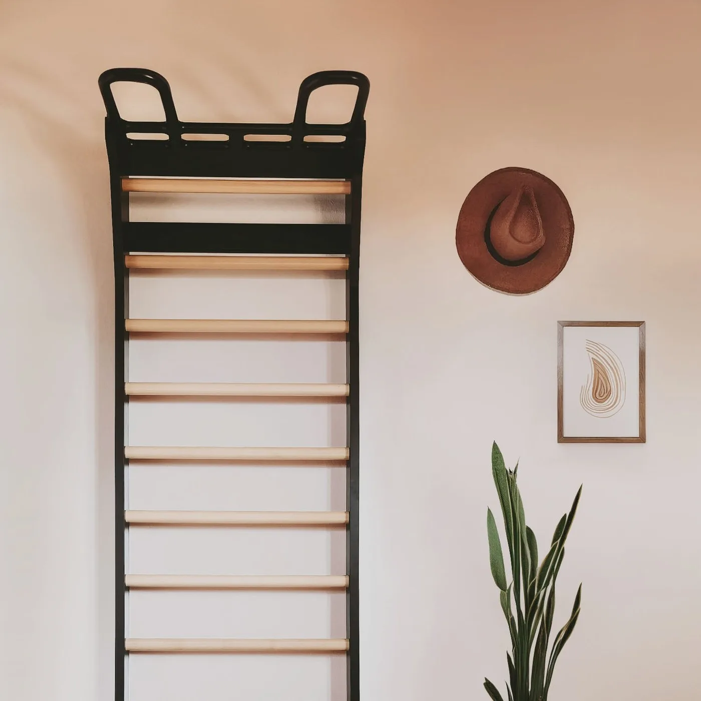 Wall bars with pull-up handles