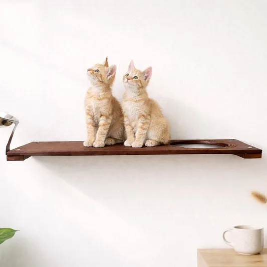 Wall Mounted Cat Feeding Shelf