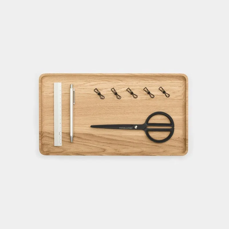 Catchall Tray