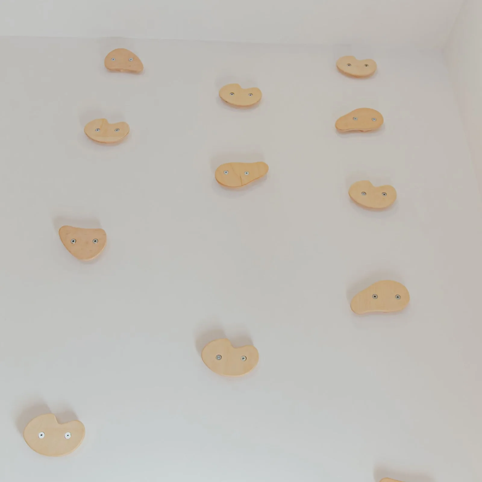 Climbing Holds