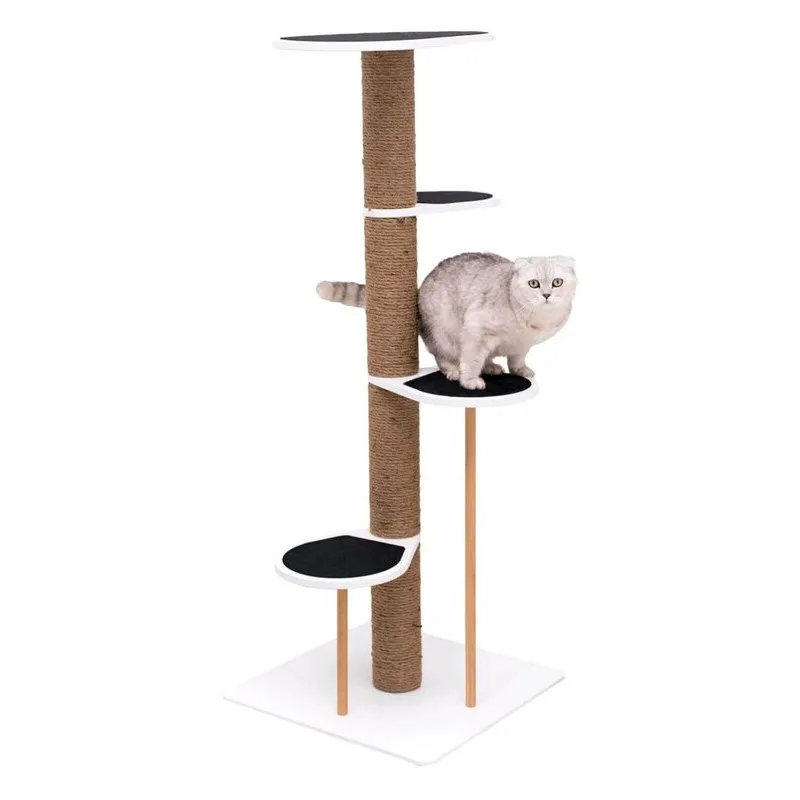 Cat Climbing Tower