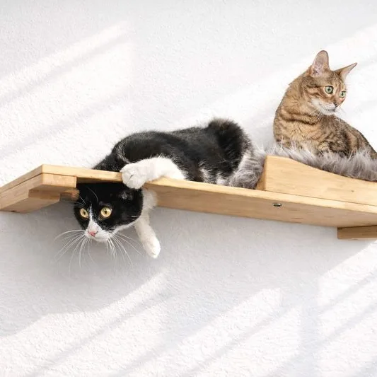 Cat nest bed