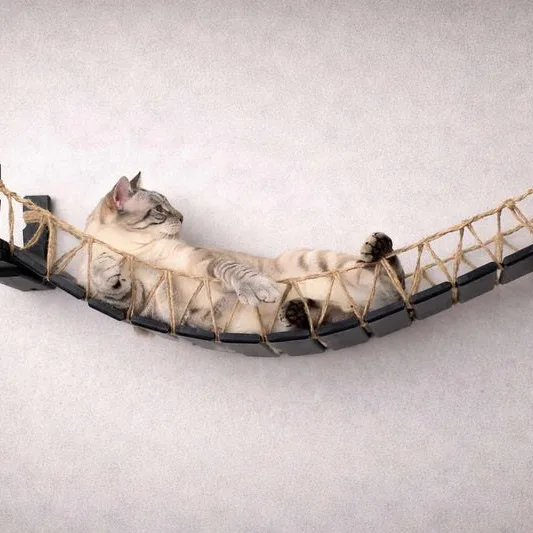 Cat Bridge for Wall